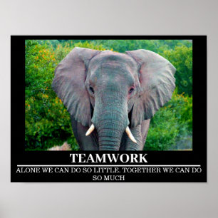 Wildlife Motivational Posters Elephant Teamwork