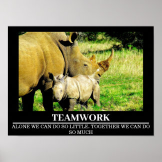 Wildlife Motivational Posters Rhinos Teamwork