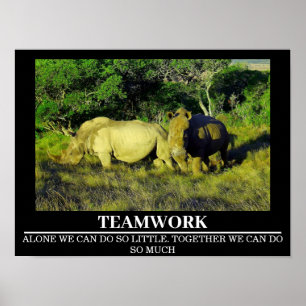 Wildlife Motivational Posters Rhinos Teamwork