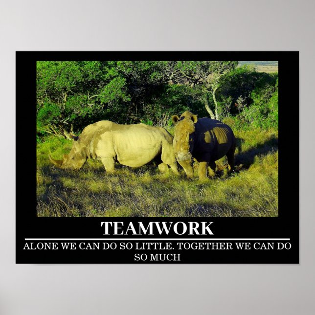 Wildlife Motivational Posters Rhinos Teamwork (Front)