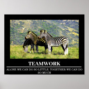Wildlife Motivational Posters Zebra Teamwork