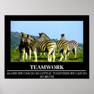 Wildlife Motivational Posters Zebra Teamwork