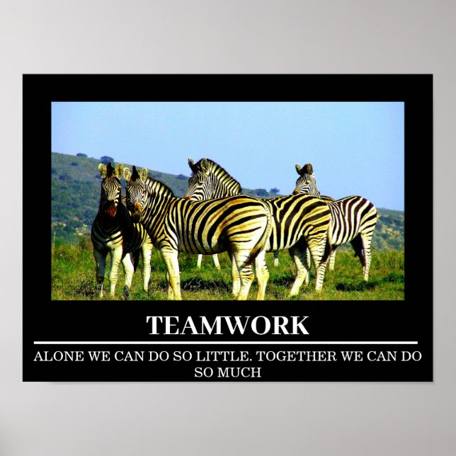 Wildlife Motivational Posters Zebra Teamwork (Front)
