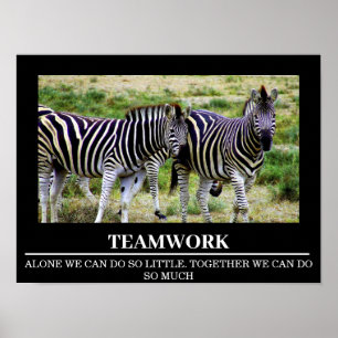 Wildlife Motivational Posters Zebra Teamwork