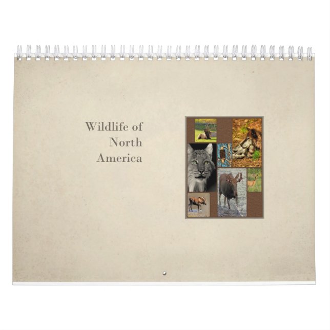 Wildlife of North America Calendar (Cover)