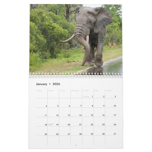 Wildlife of South Africa Calendar (Jan 2026)