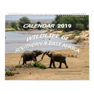 WILDLIFE of Southern & East Africa (Two-Page) Calendar