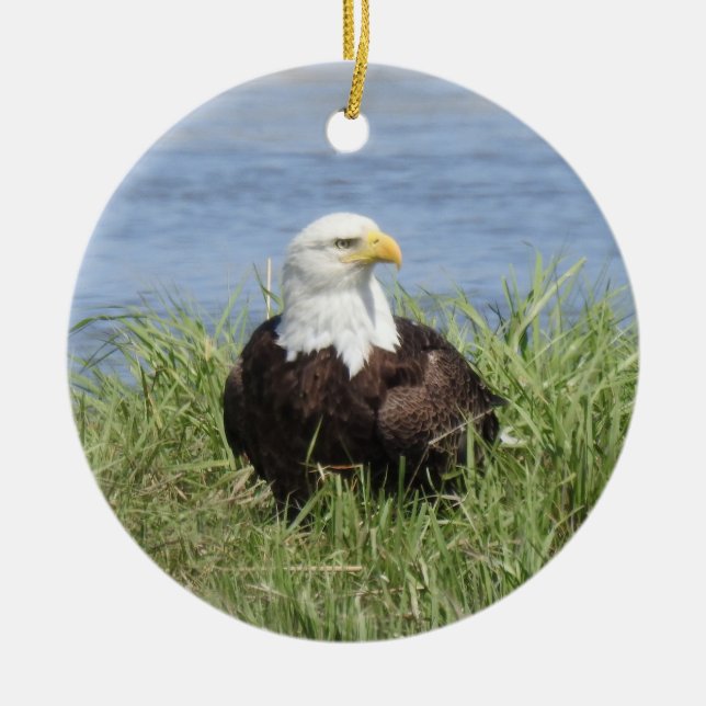 Wildlife ornament, bald eagle, nature, wild birds ceramic tree decoration (Front)