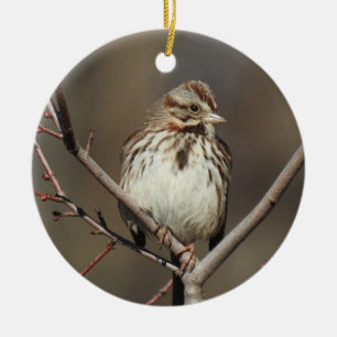 Wildlife ornament, song sparrow, birds, nature ceramic tree decoration
