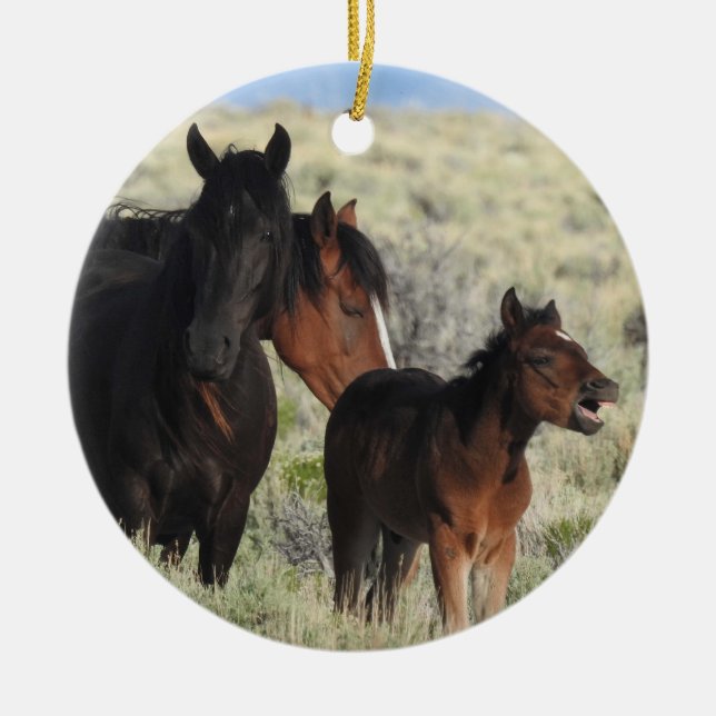 Wildlife ornament, wild horses, nature, animals ceramic tree decoration (Front)