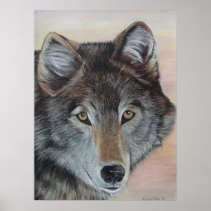 wildlife painting of grey wolf poster