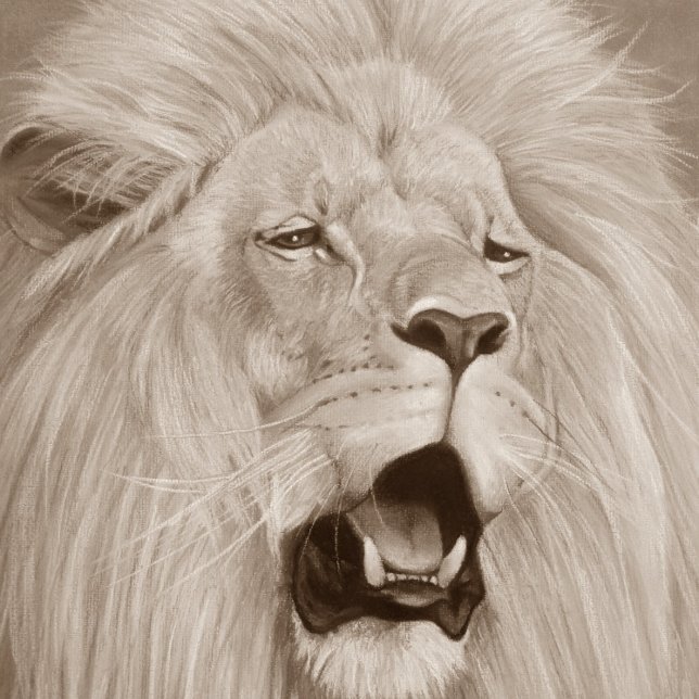 wildlife painting of lion roaring big cats  stone coaster (Creator Uploaded)