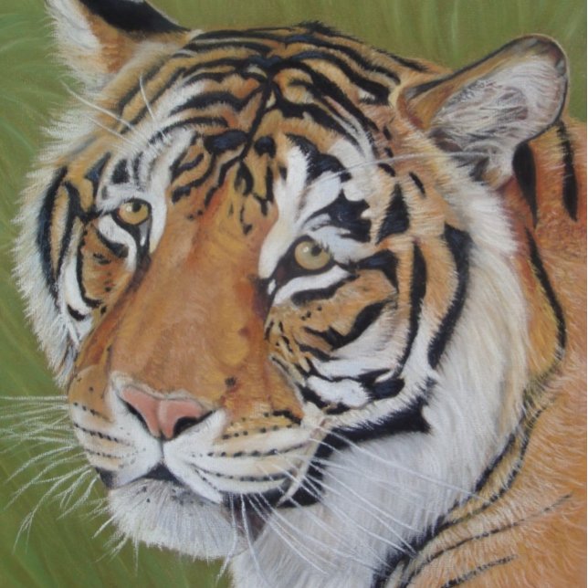 wildlife painting of tiger with sad eyes big cat jigsaw puzzle (Creator Uploaded)