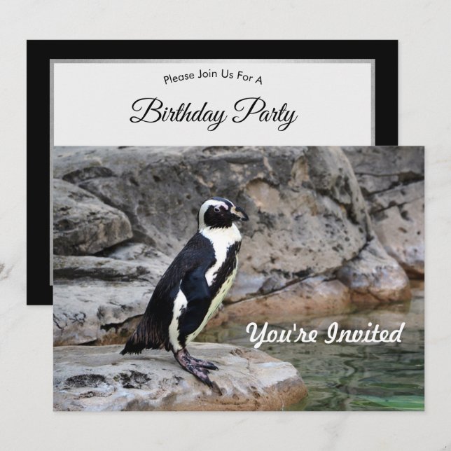Wildlife Penguin Photo Birthday Invitation (Front/Back)