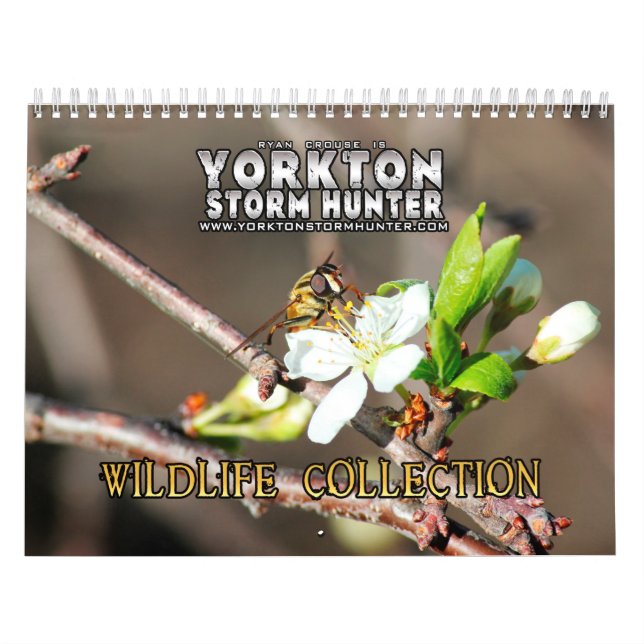 Wildlife Photography Collection Calendar (Cover)