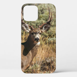 WILDLIFE PHOTOGRAPHY OF BROWN BUCK iPhone 12 CASE