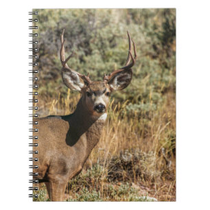 WILDLIFE PHOTOGRAPHY OF BROWN BUCK NOTEBOOK