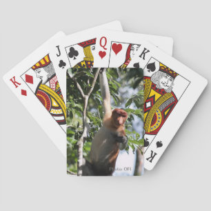 Wildlife Photography- Proboscis Monkey Playing Cards