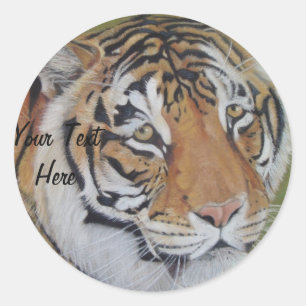 wildlife picture of big cat tiger  classic round sticker