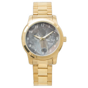 wildlife portrait picture of grey wolf watch