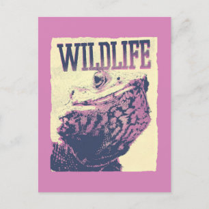 Wildlife Postcard