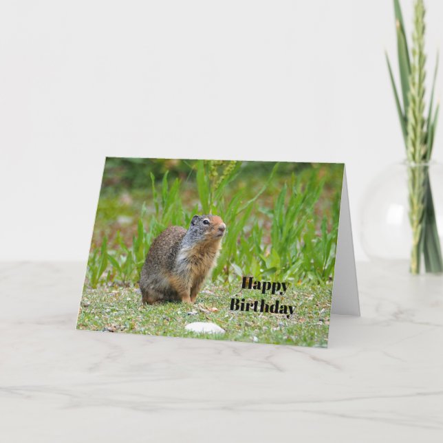 Wildlife Prairie Dog Photo Birthday Card (Front)