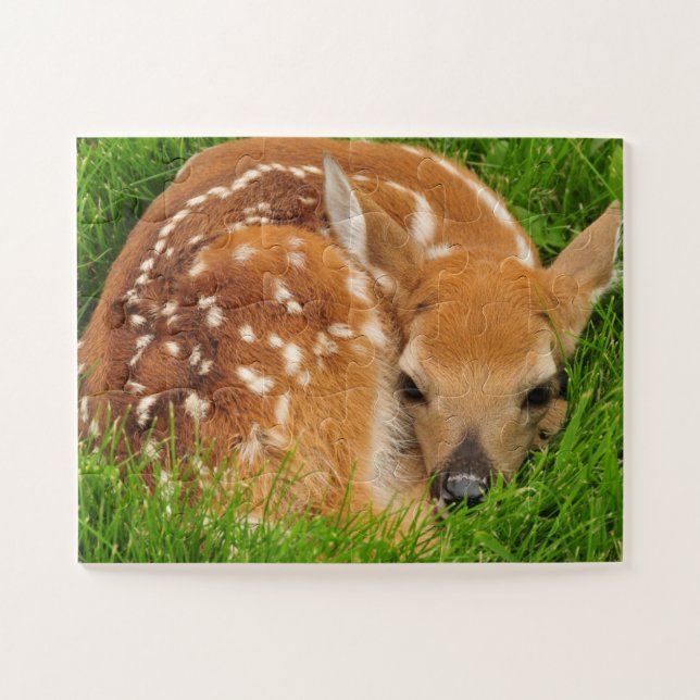 Wildlife Puzzle-Baby Deer Jigsaw Puzzle (Horizontal)