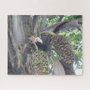 Wildlife Puzzle: Cute Capuchin Monkey in Tree Jigsaw Puzzle