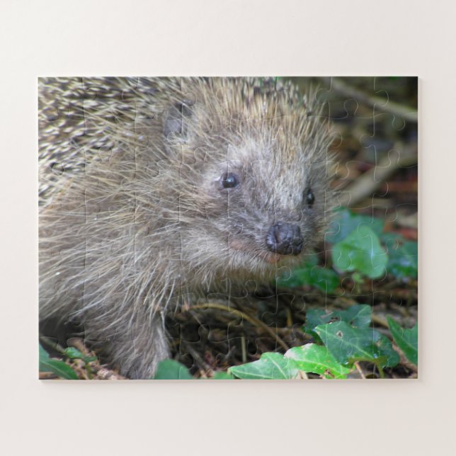 Wildlife Puzzle: Cute Hedgehog Jigsaw Puzzle (Horizontal)
