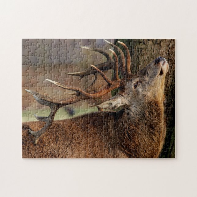 Wildlife Puzzle-Deer Jigsaw Puzzle (Horizontal)