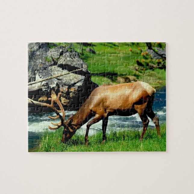 Wildlife Puzzle-Elk Jigsaw Puzzle (Horizontal)