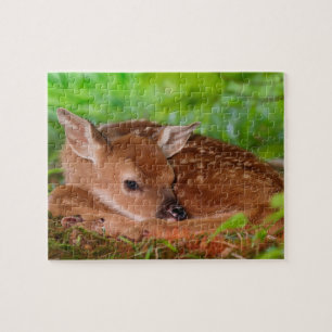 Wildlife Puzzle-Fawn Jigsaw Puzzle