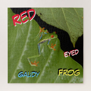 Wildlife Puzzle: Red Eyed Gaudy Frog Jigsaw Puzzle