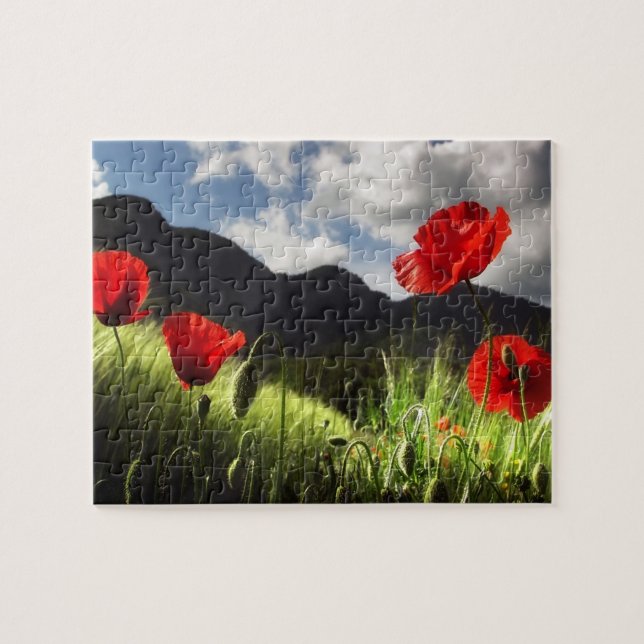 Wildlife Puzzle-Red Poppies Jigsaw Puzzle (Horizontal)