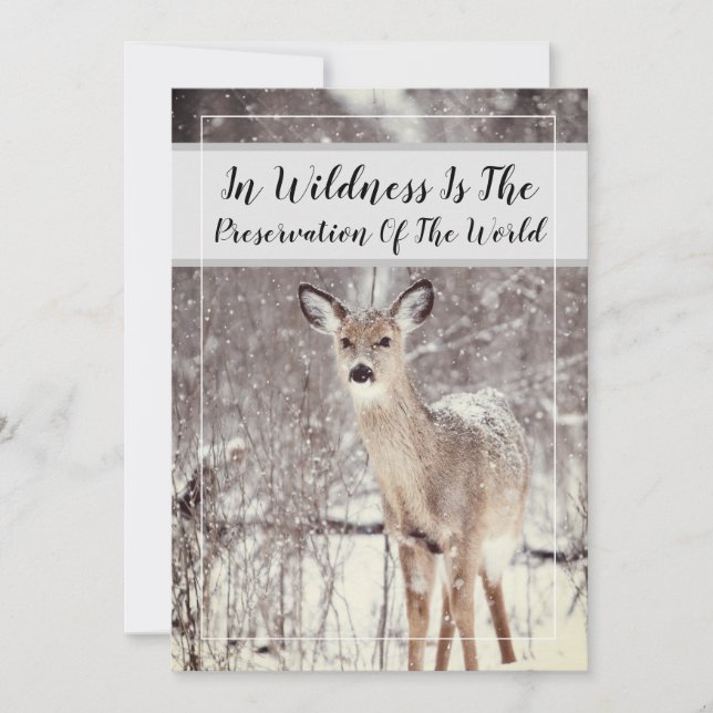 Wildlife Quote Woodland Deer Snow Winter Holiday (Front)