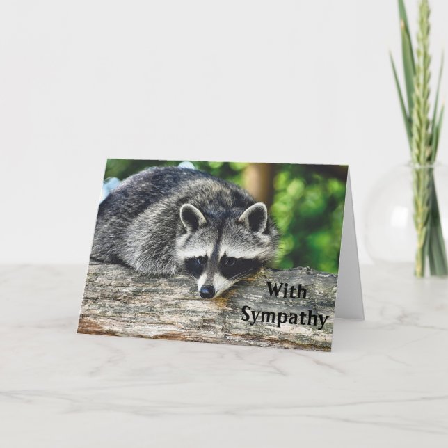Wildlife Raccoon Log Mammal Photo Sympathy Card (Front)
