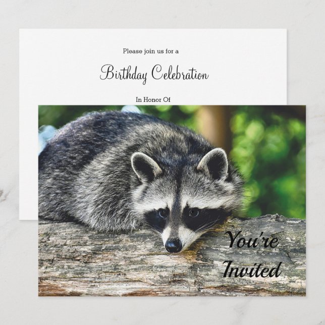 Wildlife Racoon Log Mammal Photo Birthday Invitation (Front/Back)