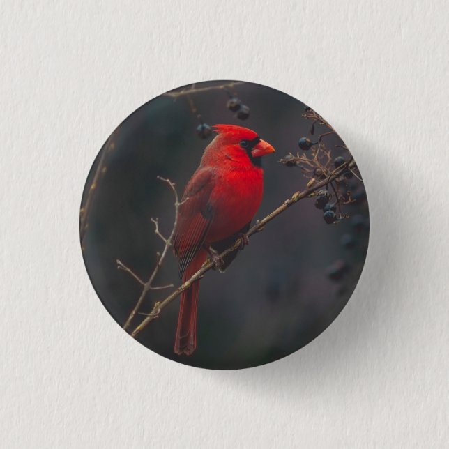 Wildlife Red Cardinal Photo 3 Cm Round Badge (Front)