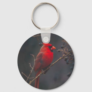 Wildlife Red Cardinal Photo Key Ring