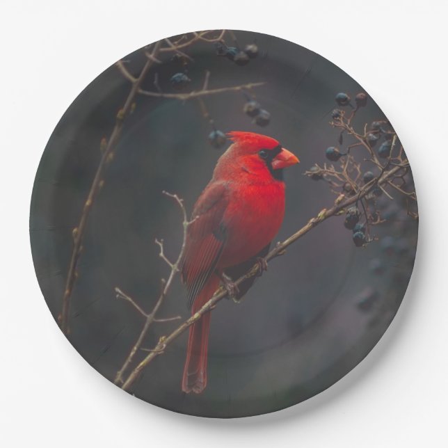 Wildlife Red Cardinal Photo Paper Plate (Front)