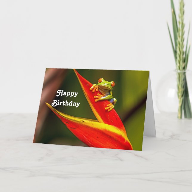 Wildlife Red Eyed Tree Frog Photo Birthday Card (Front)