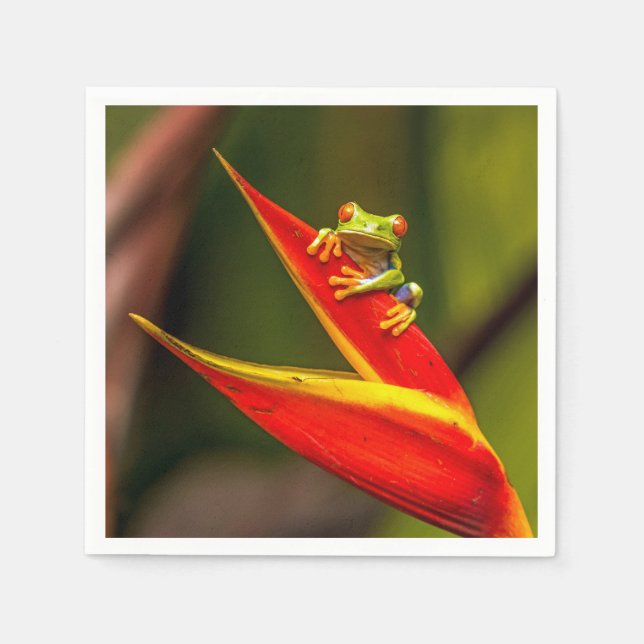 Wildlife Red Eyed Tree Frog Photo Napkin (Front)