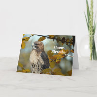 Wildlife Red Tailed Hawk Autumn Photo Birthday