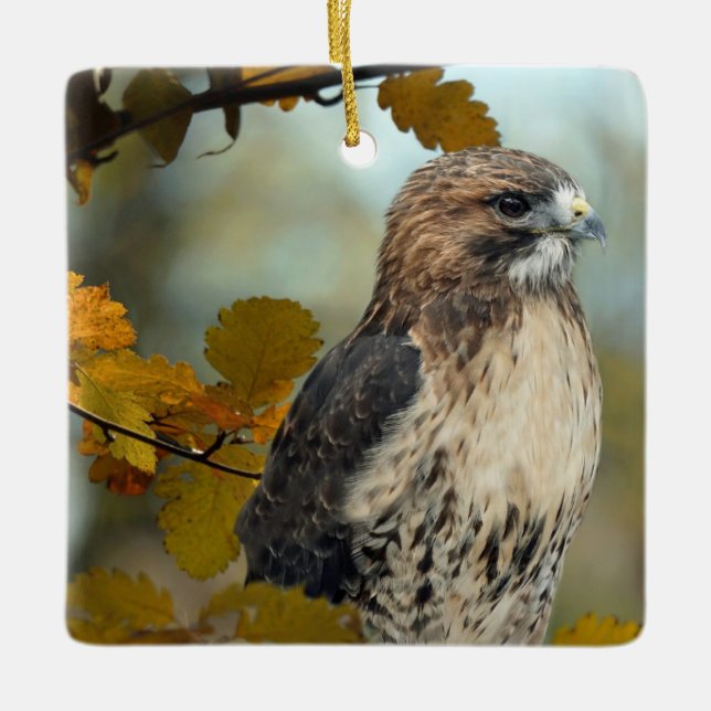 Wildlife Red Tailed Hawk Autumn Photo Ceramic Ornament (Front)