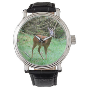 Wildlife Roe Deer Buck – Elegant Forest Animal Watch