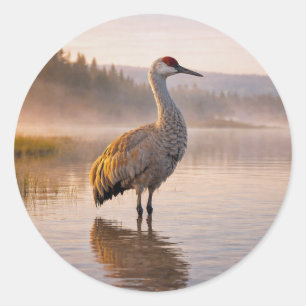 Wildlife Sandhill Crane Wetland  Classic Round Sticker
