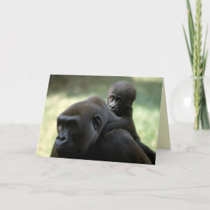 Wildlife Set - Primates 11 Card