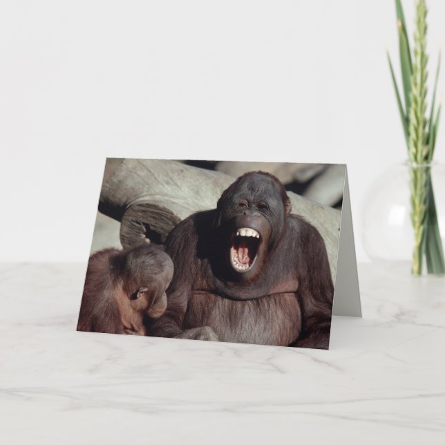 Wildlife Set - Primates 1 Card (Front)