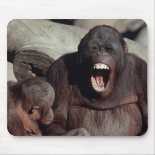 Wildlife Set - Primates 1 Mouse Mat
