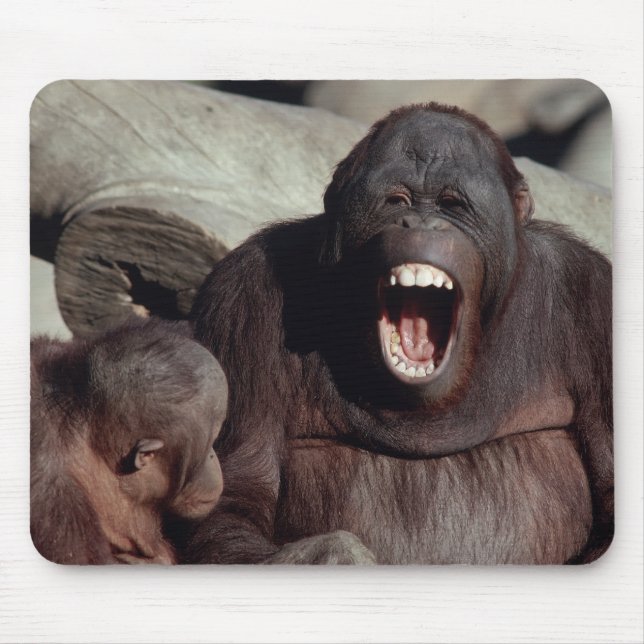 Wildlife Set - Primates 1 Mouse Mat (Front)